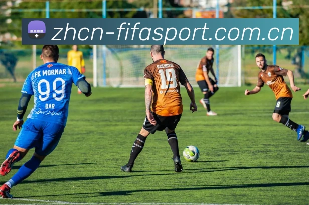 FIFA 官方数据授权认证